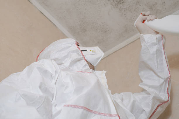 Best Commercial Mold Removal  in Gloverville, SC